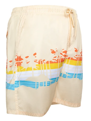 Mens Swim Trunks